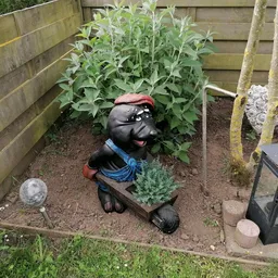 Tuin met tuinkabouter, plantenbakken en houten omheining