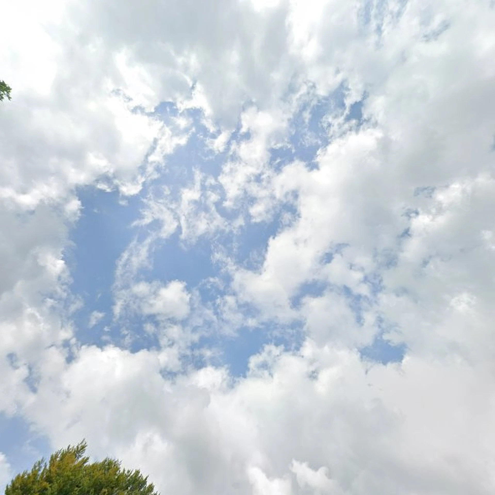 Kringloopwinkel Sinkel Harkema in Harkema