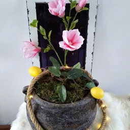 Potplant met roze bloemen, geel fruit en touw, tegen donkere achtergrond