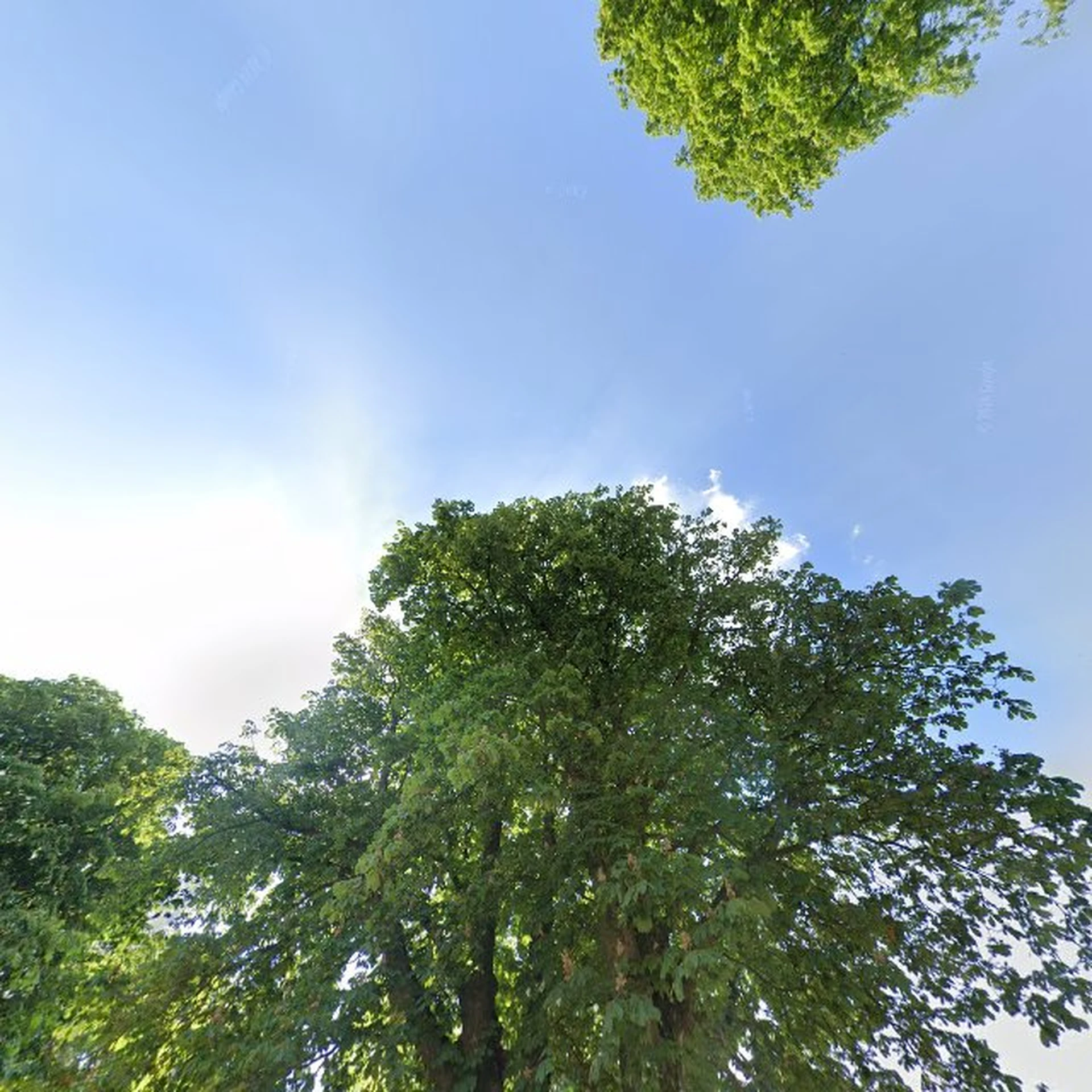 Kringloopwinkel Kringloopwinkel Sjaalom by KlaraLuna in Helvoirt