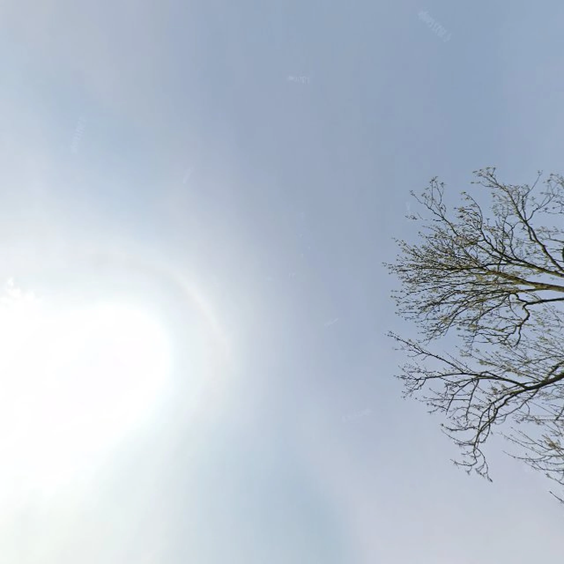 Kringloopwinkel Kringloopwinkel SKS Store in Soest