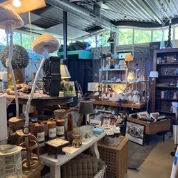 Winkelinterieur met diverse tweedehands artikelen, stellingen, lampen, boeken en huishoudspullen