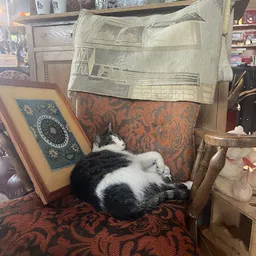 Bezoeker foto van Sneuphal De Oude Bieb Stiens in Stiens