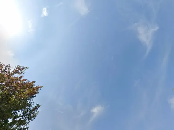 Kringloopwinkel in Haulerwijk