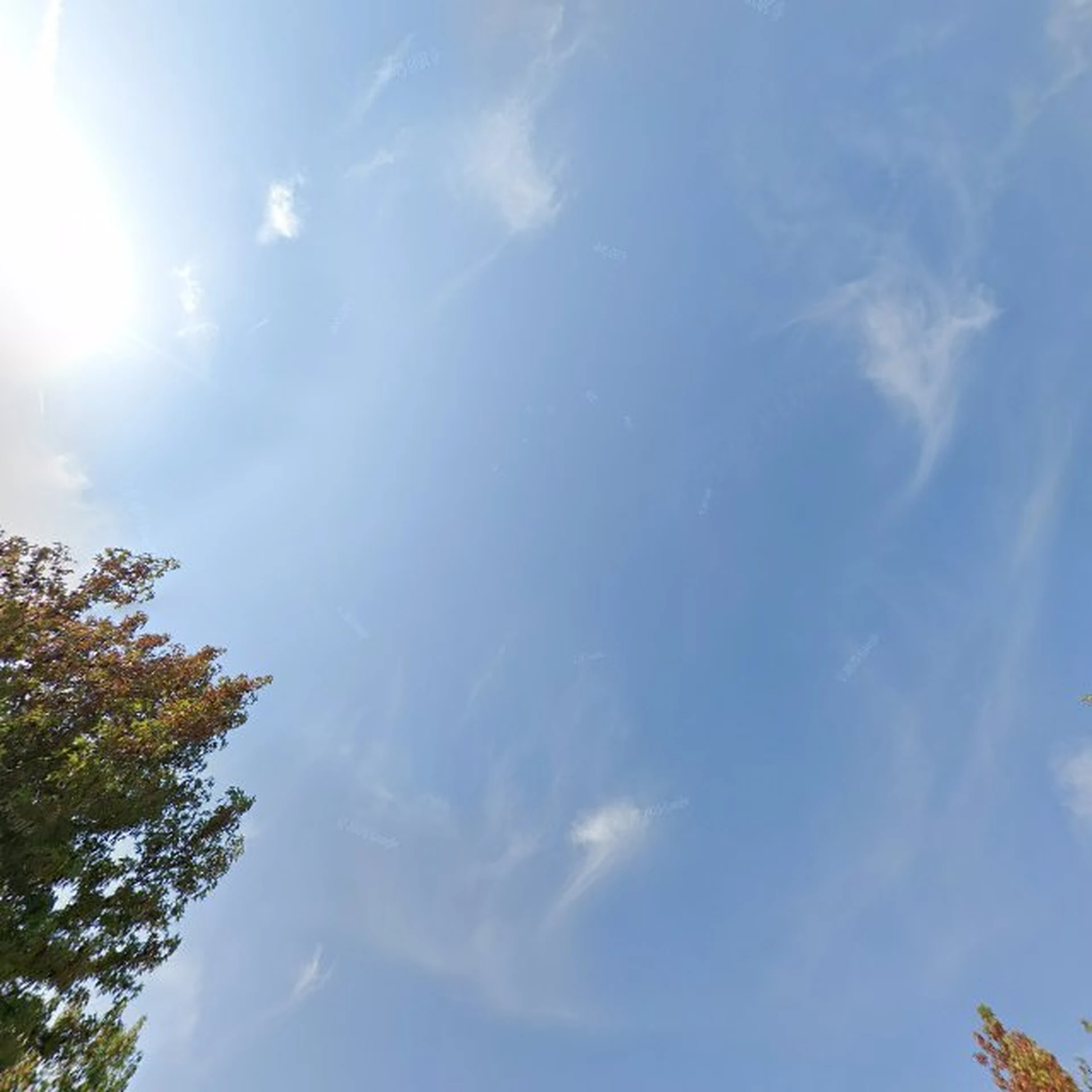 Kringloopwinkel Kringloopwinkel Snuffel Winkel in Haulerwijk