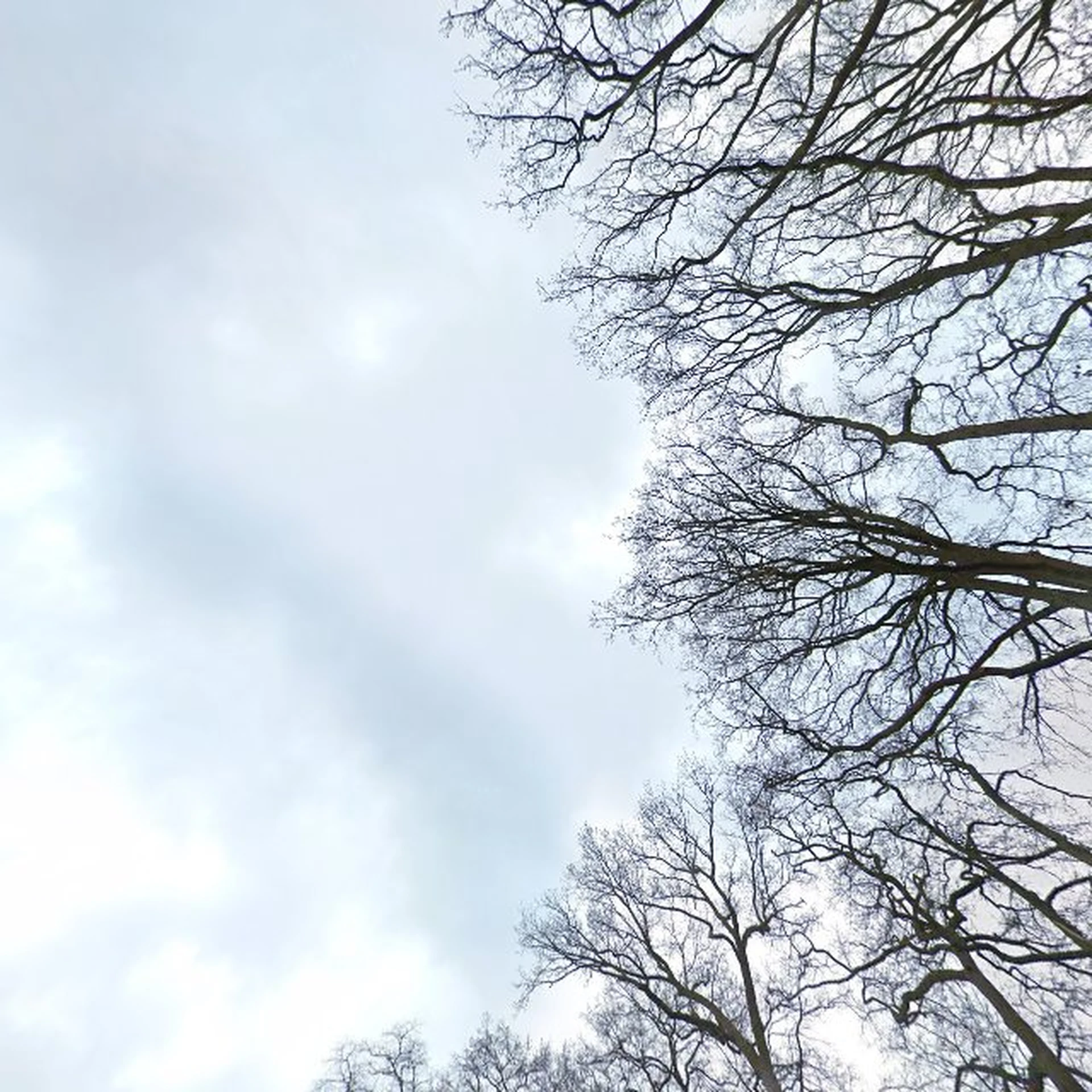 Kringloopwinkel Kringloopwinkel Snuffelcorner Rhenen in Rhenen