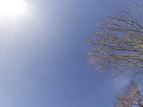 Kringloopwinkel Kringloopwinkel Snuffelmarkt Lentjheuvel in Einighausen