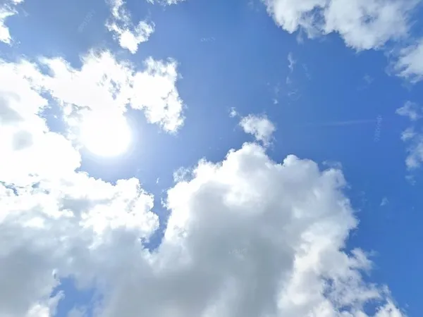 Kringloopwinkel Kringloopwinkel Snuffelpand Meubelshowroom in Ridderkerk