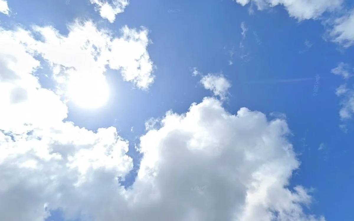 Kringloopwinkel Kringloopwinkel Snuffelpand Meubelshowroom in Ridderkerk