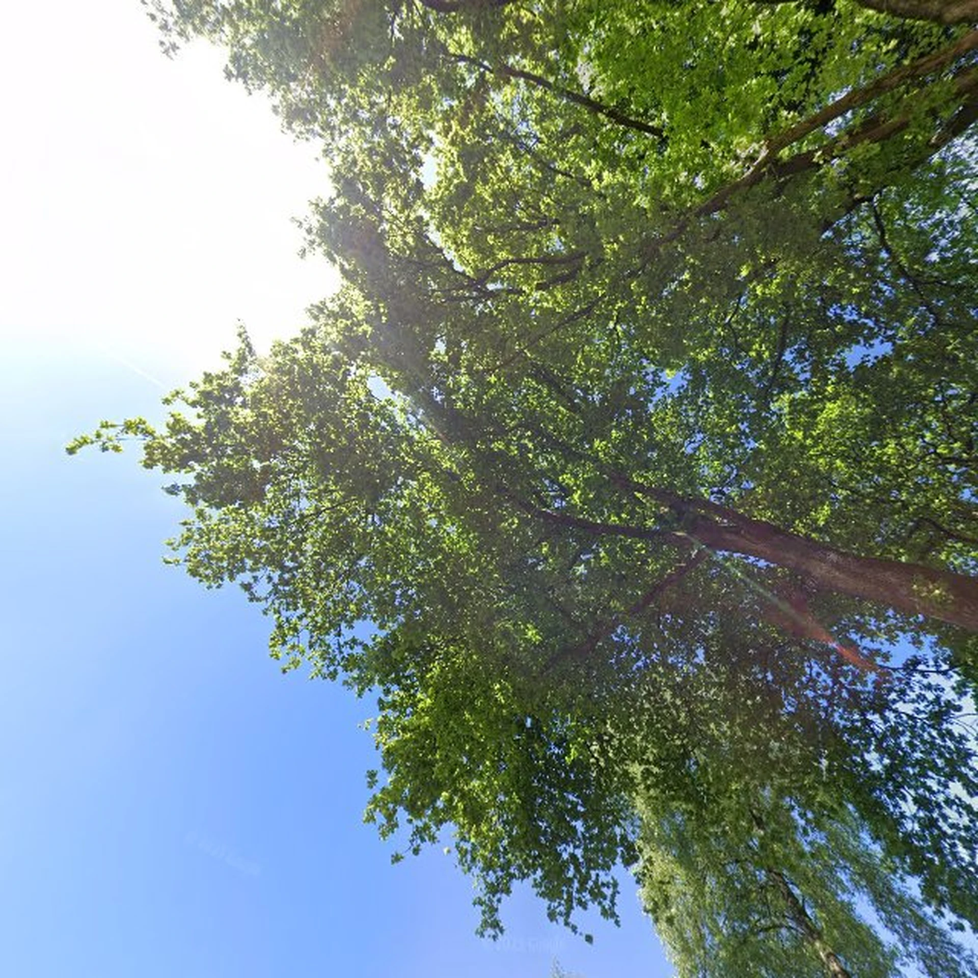 Kringloopwinkel Kringloopwinkel snuffelschuur in Doorwerth