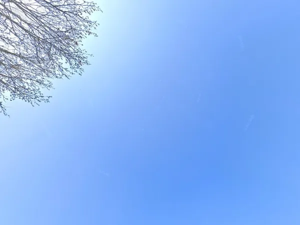 Kringloopwinkel in Kamperland