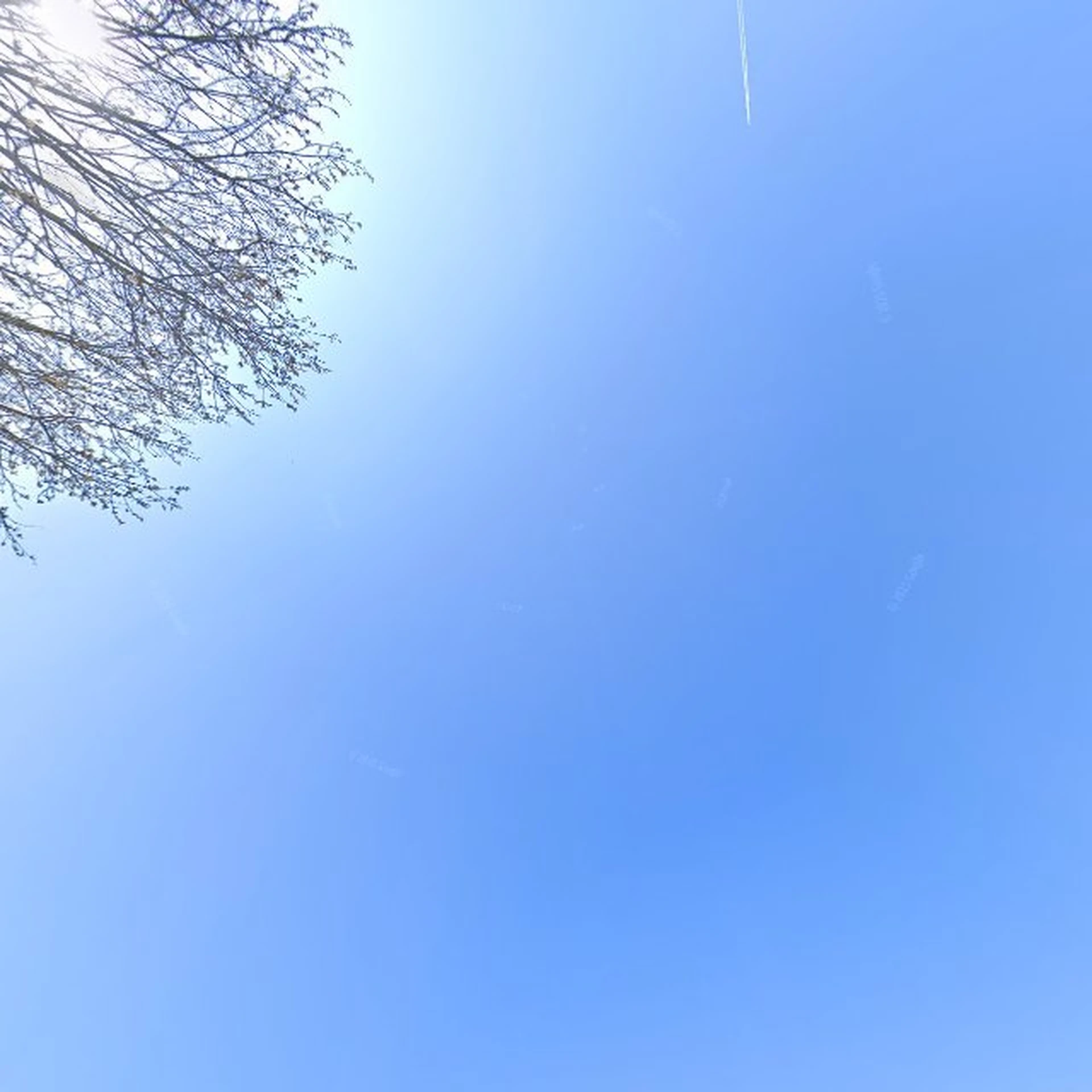 Kringloopwinkel Snuffelschuur en boekenmarkt De Spuikom in Kamperland