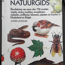 Voorkant van een natuurgids over Nederlandse en Belgische flora en fauna met illustraties van dieren en planten