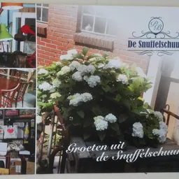 Collage met winkelfoto's en witte hortensia's met winkellogo en welkomsttekst