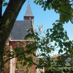 Uitzicht omhoog naar een kerkgebouw met bakstenen toren tussen boomtakken