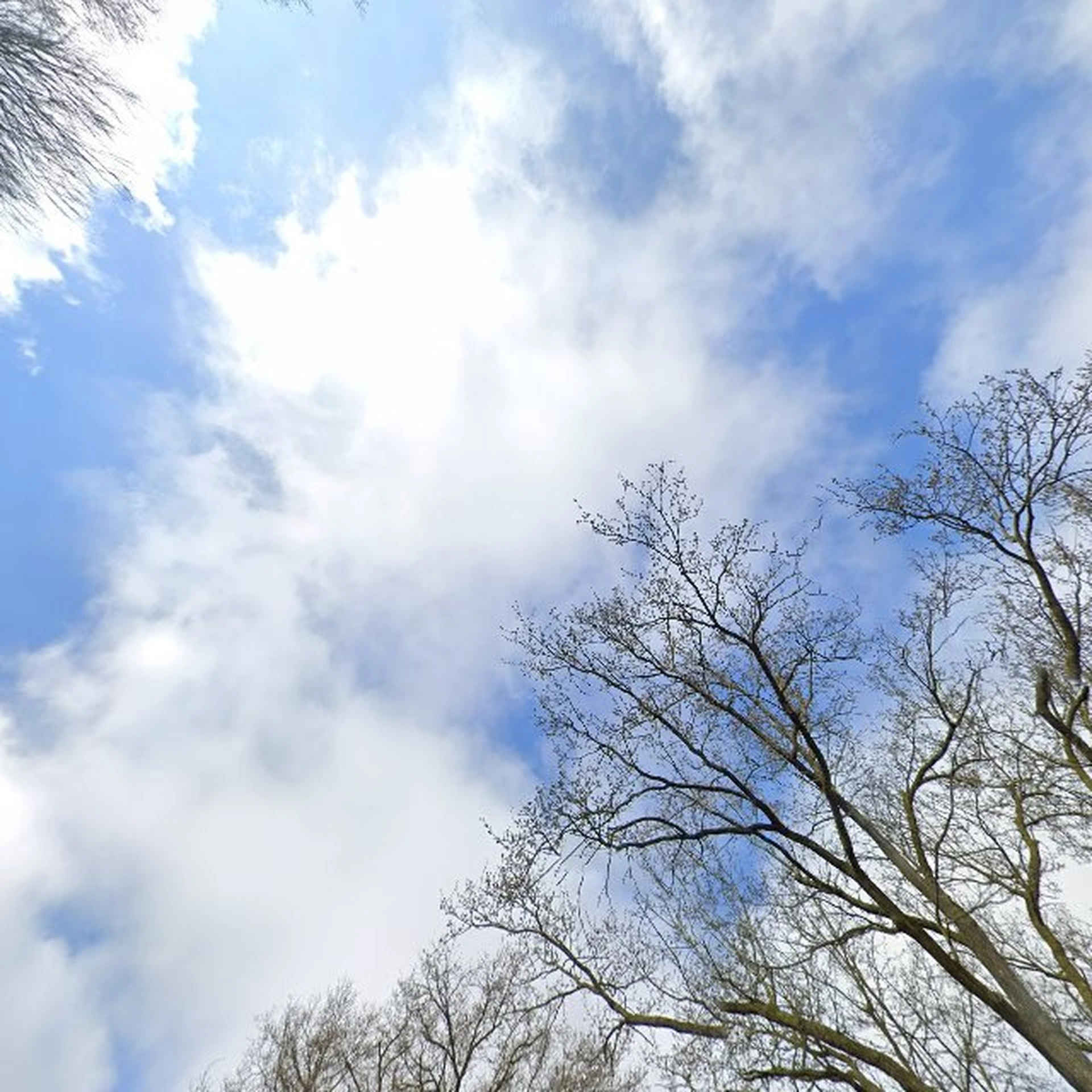Kringloopwinkel Kringloopwinkel Snuffelshop Wezep in Wezep