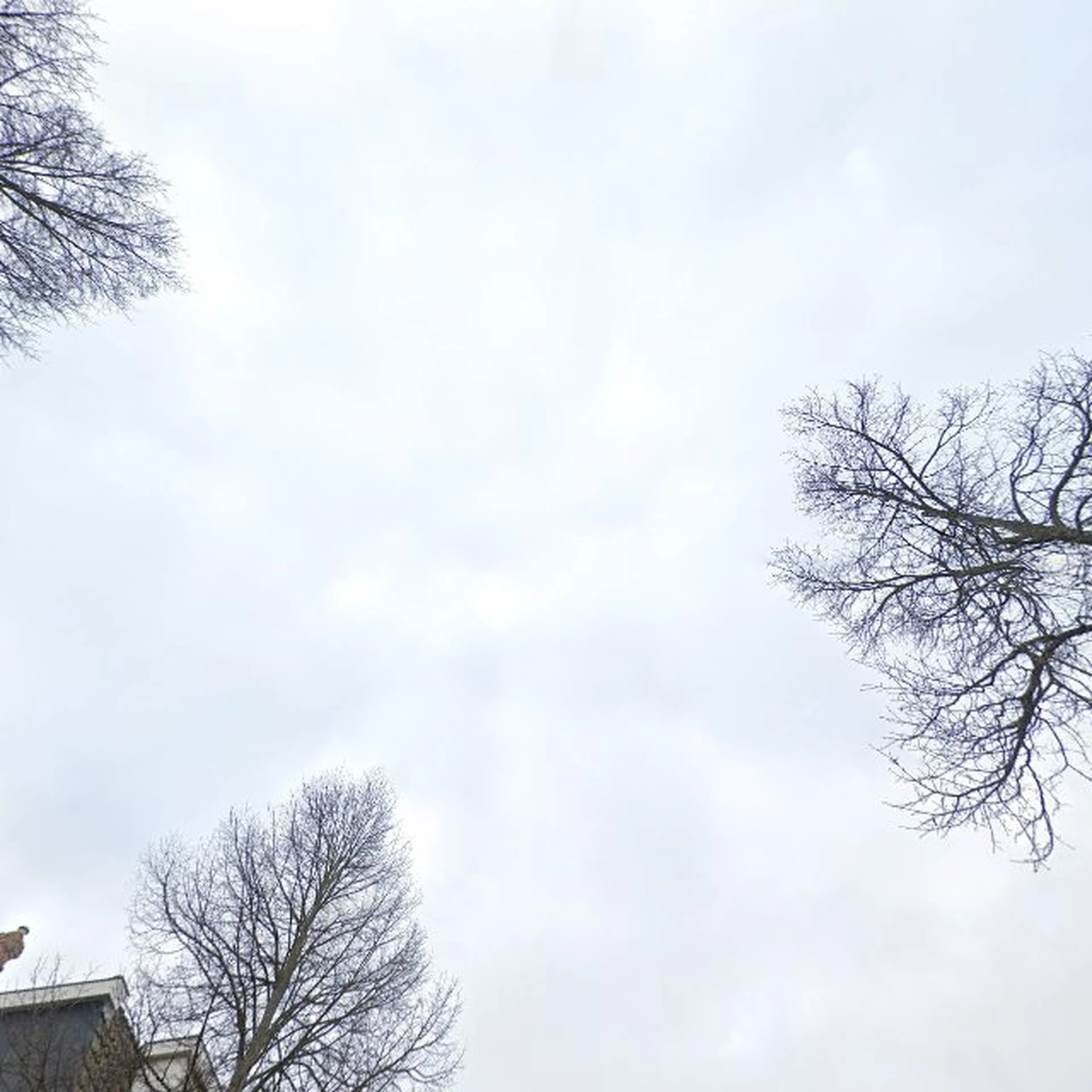 Kringloopwinkel Kringloopwinkel Snuffelwinkel De Burcht in Oost-Souburg