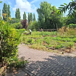 Tuinarea met paden, plantenbakken en groene bomen op de achtergrond