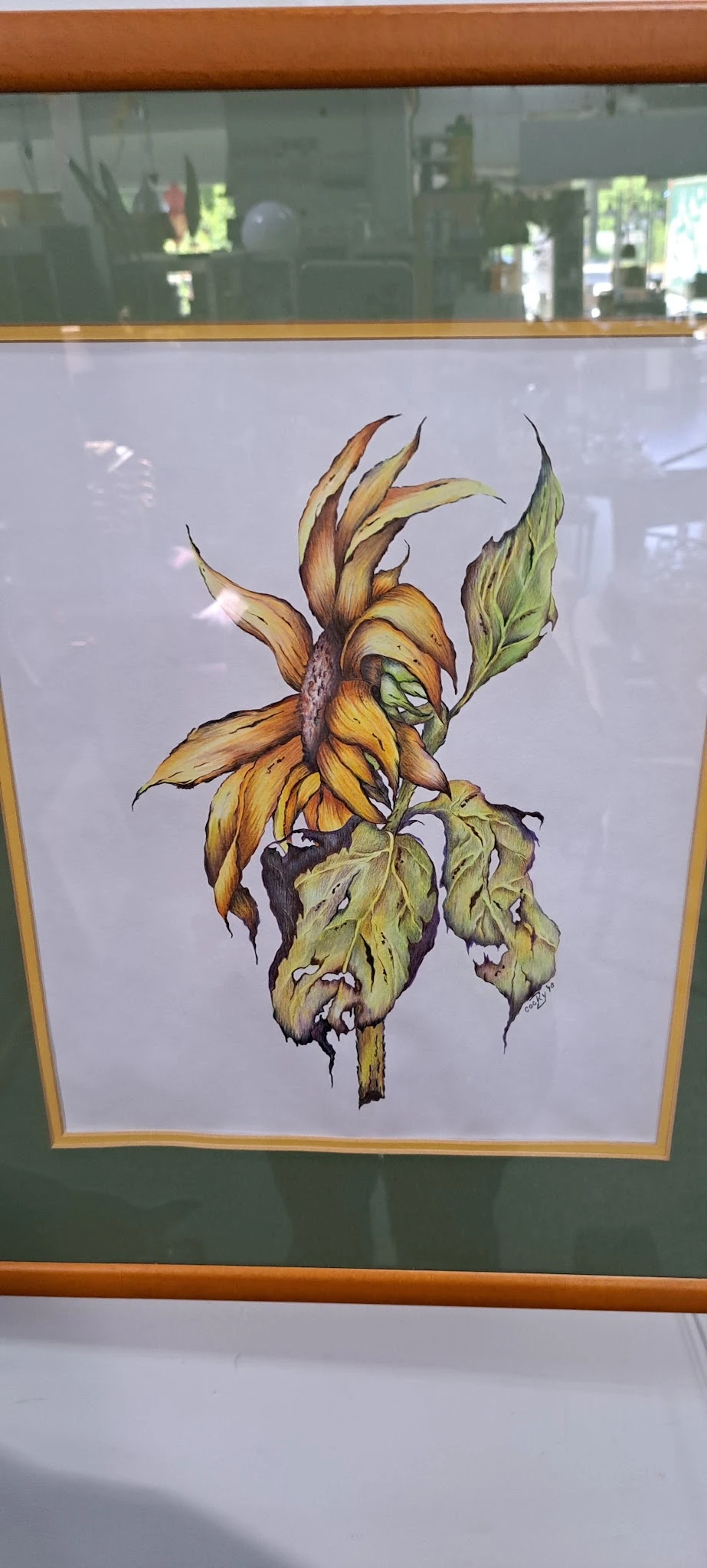 Aquareltekening van een verwelkte zonnebloem met bruine bloembladen en gele kern