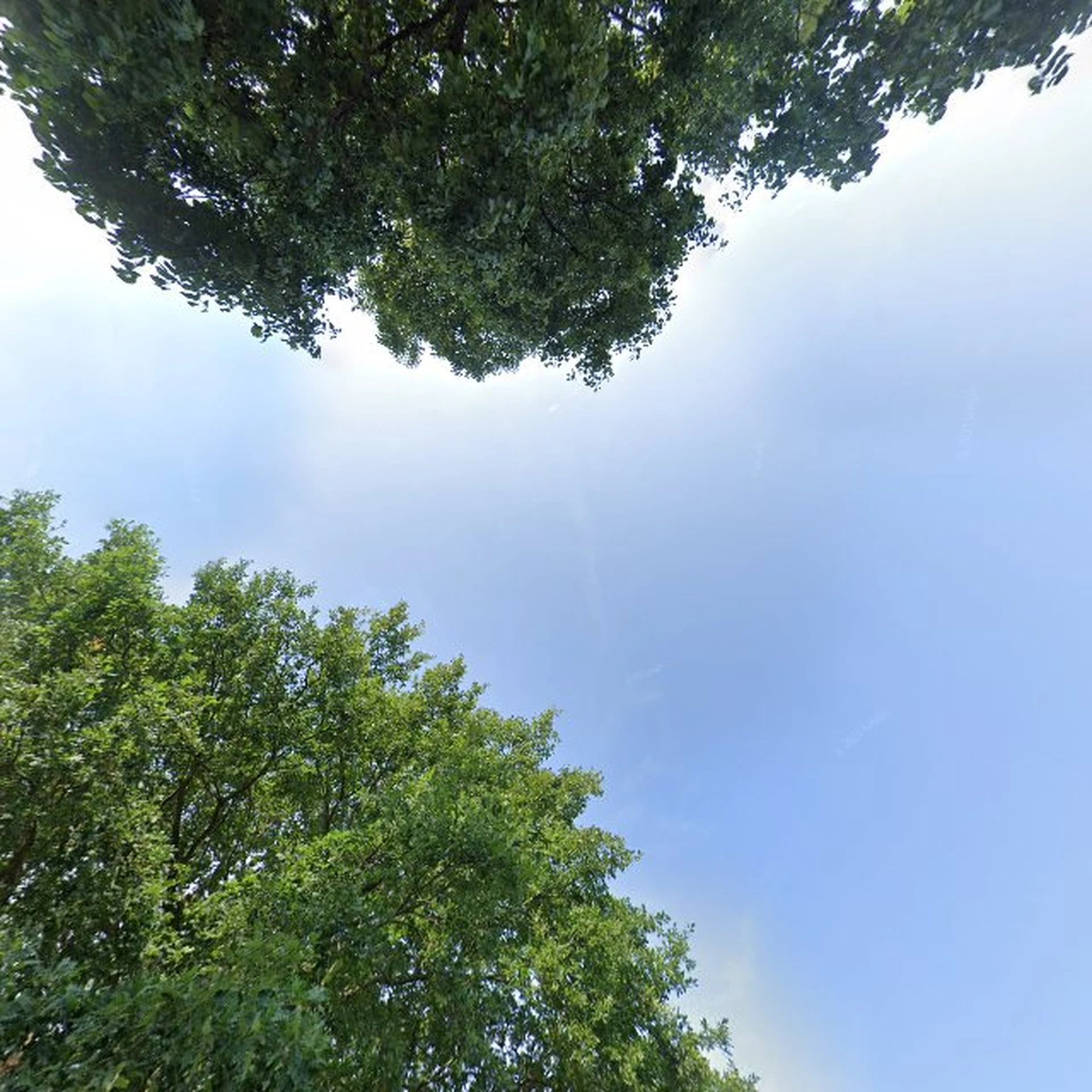 Kringloopwinkel StekUp Kringloop & Sociale Coöperatie in Nieuwegein