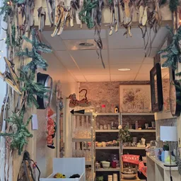 Winkelinterieur met houten stellingen, hangende planten en decoratieve spullen tegen de muren