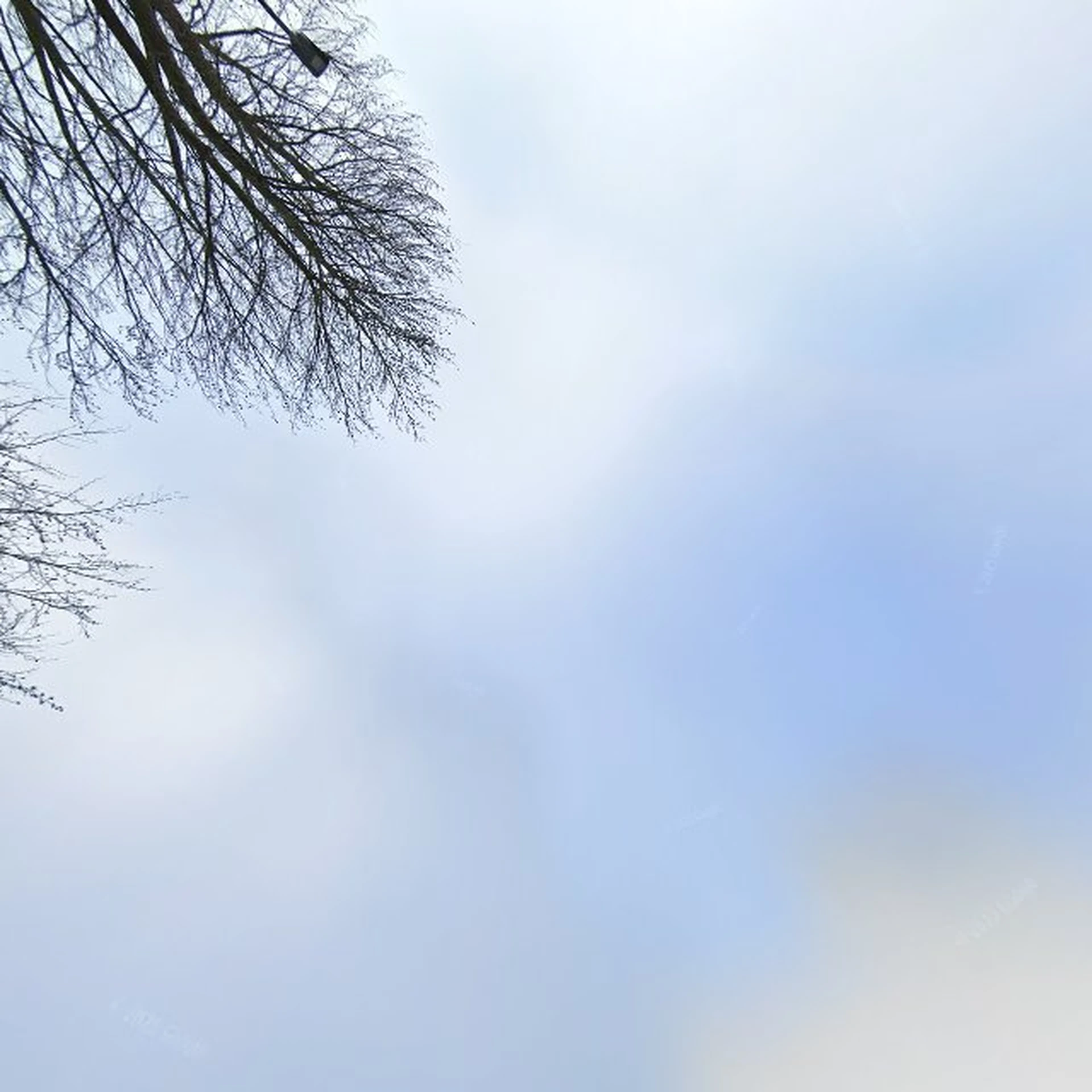 Kringloopwinkel Kringloopwinkel Stichting Actief Cuijk in Cuijk