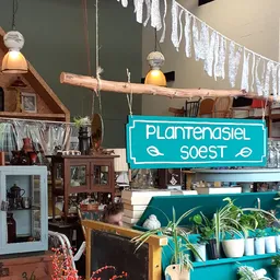 Winkelinterieur met houten stellingen, groene muur, neonbord 'Plantengasiel Soest' en plantenuitstalling op blauwe tafel