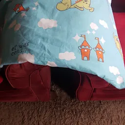 Bezoeker foto van Kringloopwinkel Stichting Ceres in Uithoorn