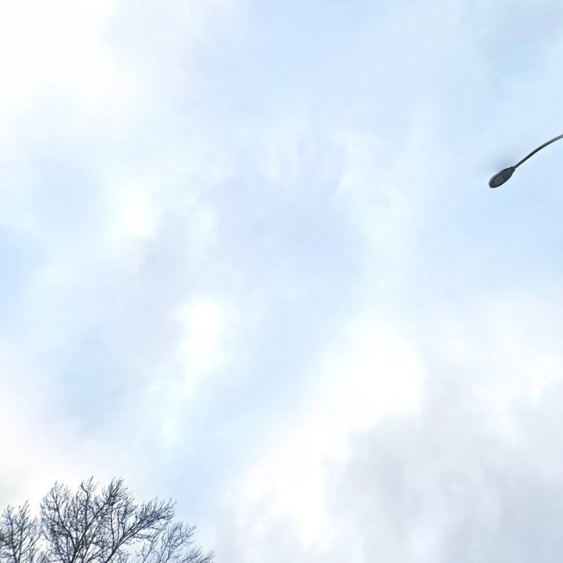 Kringloopwinkel Kringloopwinkel Stichting De Goede Winkel in Utrecht