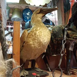 Gouden vogel als decoratief object in de winkel, omgeven door andere spullen