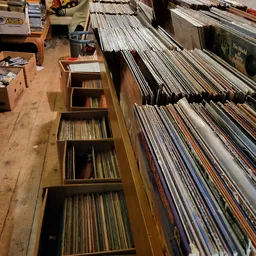 Uitgebreide verzameling vinyl records en cd's in houten stellingen en opbergkisten