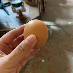 Bezoeker foto van Kringloopwinkel Stichting De Majum in Rotterdam