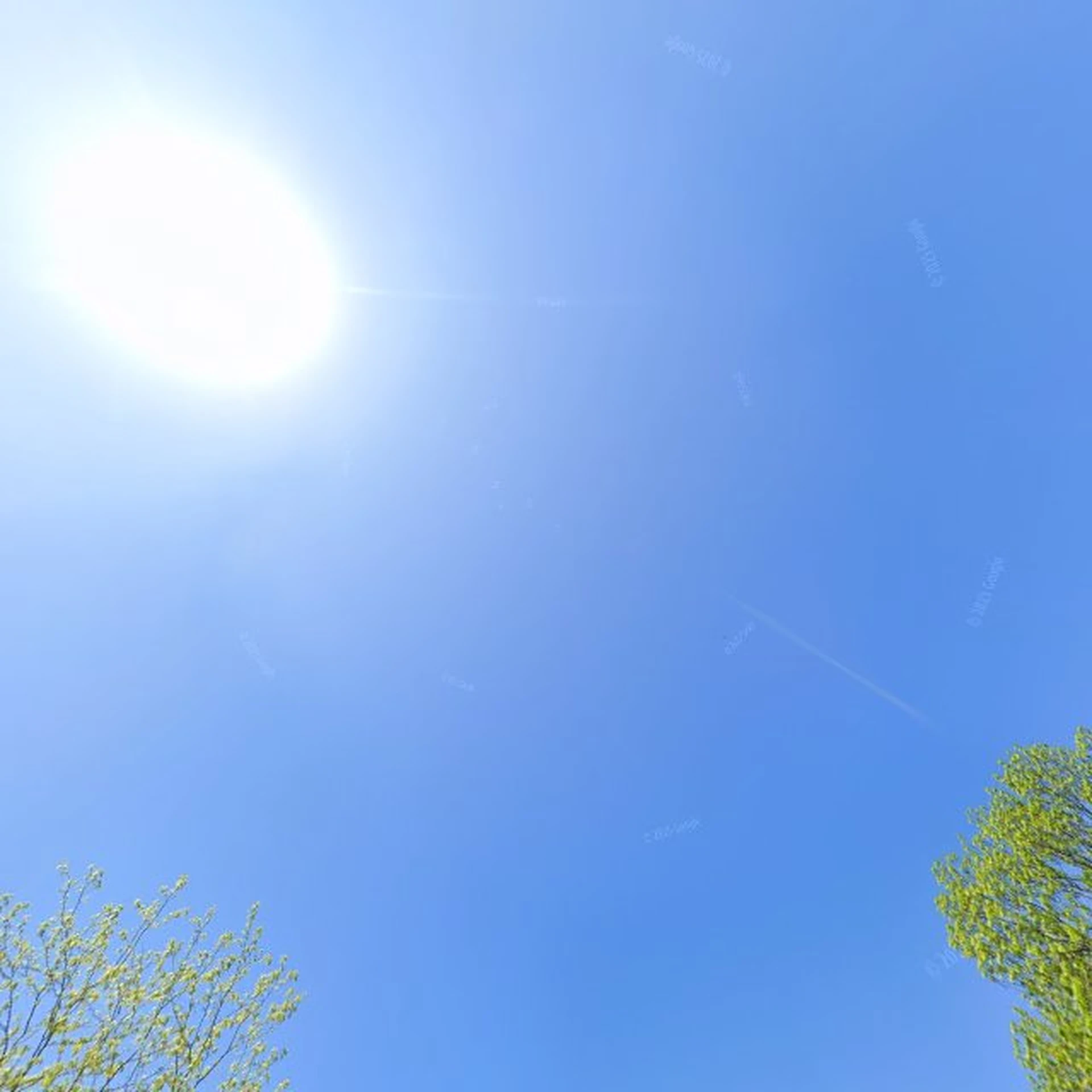 Kringloopwinkel Kringloopwinkel Stichting een helpende hand aan Roemenië in Kampen