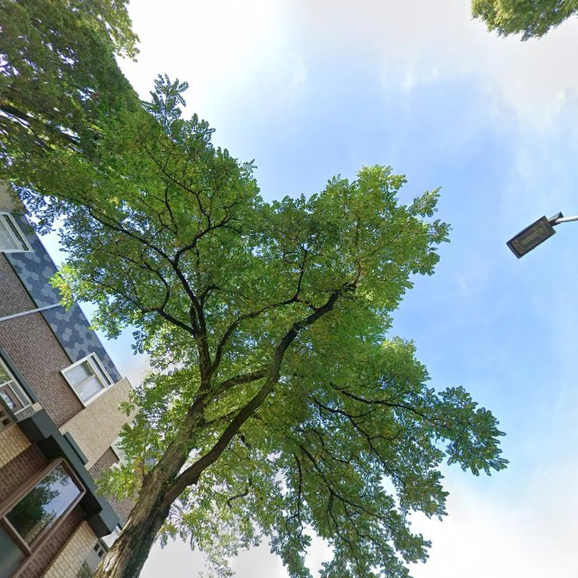 Kringloopwinkel Kringloopwinkel Stichting Emmaus Gouda in Gouda