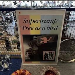 Supertramp 'Free as a bird' LP-hoes tegen een gekleurde achtergrond in de winkel