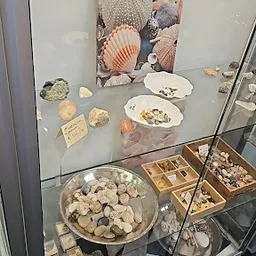 Bezoeker foto van Stichting Kringloop Almere in Almere