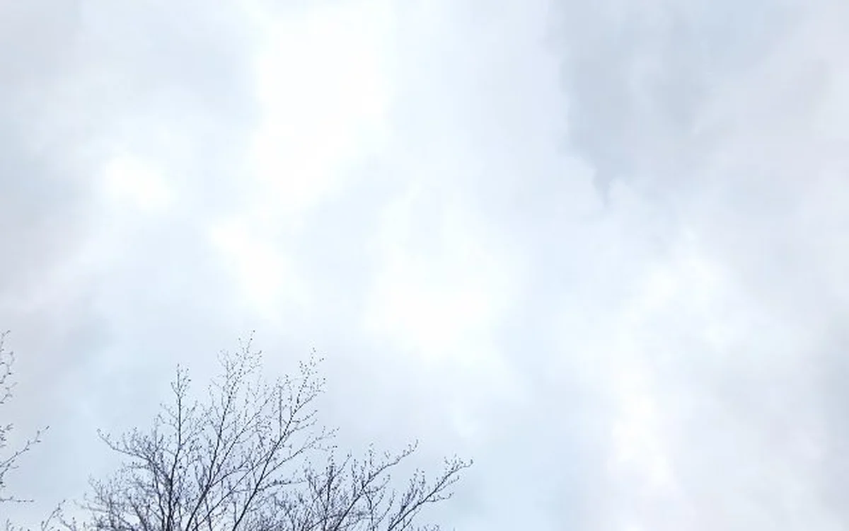 Kringloopwinkel Stichting Kringloop Cunera in Rhenen