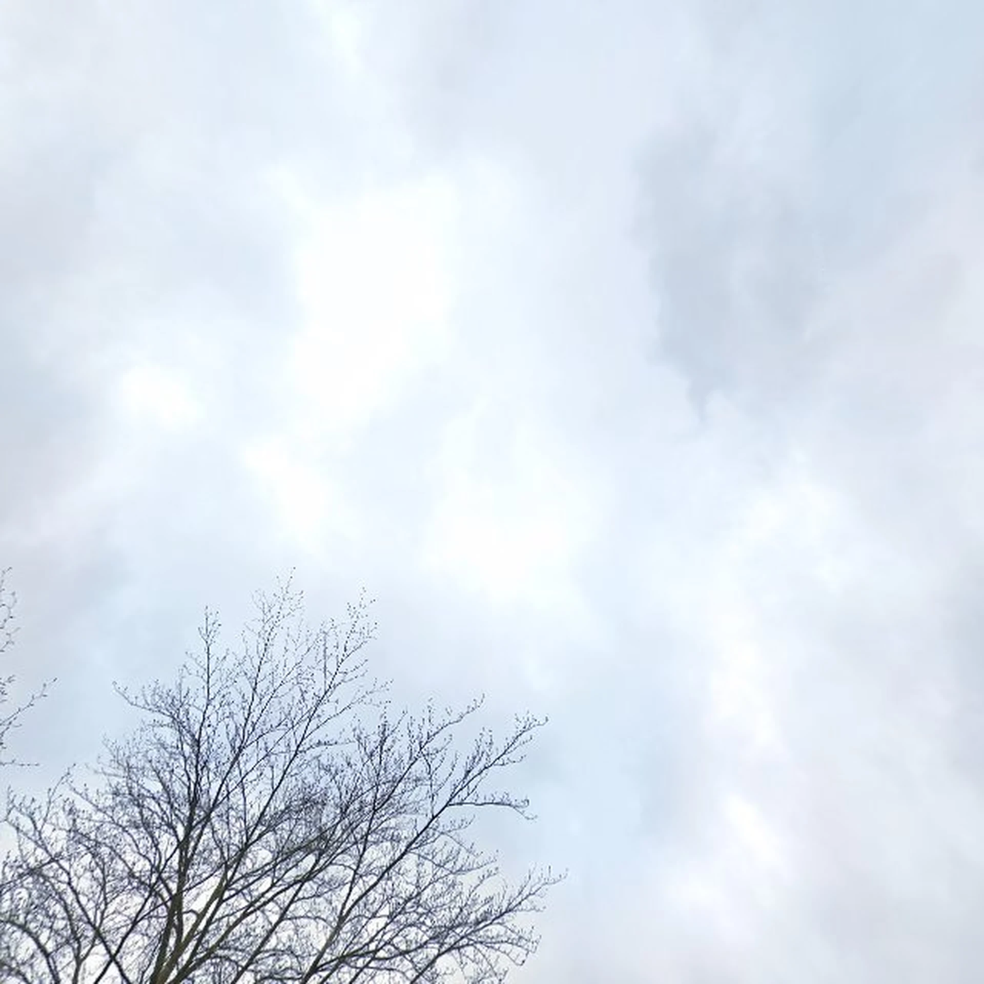 Kringloopwinkel Stichting Kringloop Cunera in Rhenen