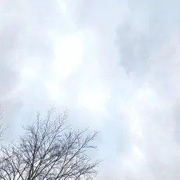 Kringloopwinkel Stichting Kringloop Cunera in Rhenen