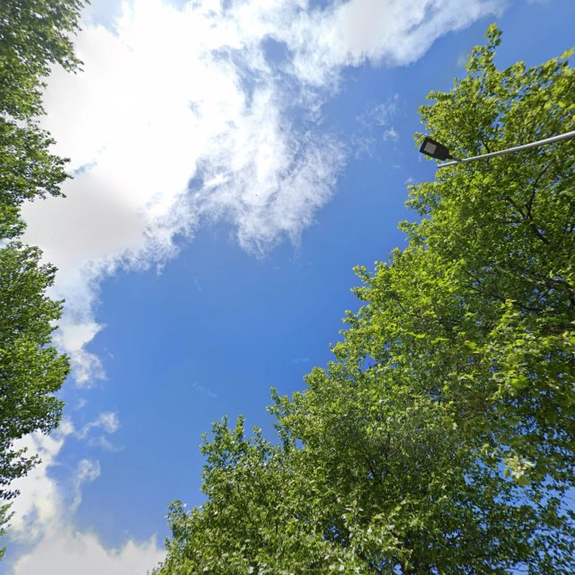 Kringloopwinkel Stichting Kringloop Emmeloord in Emmeloord