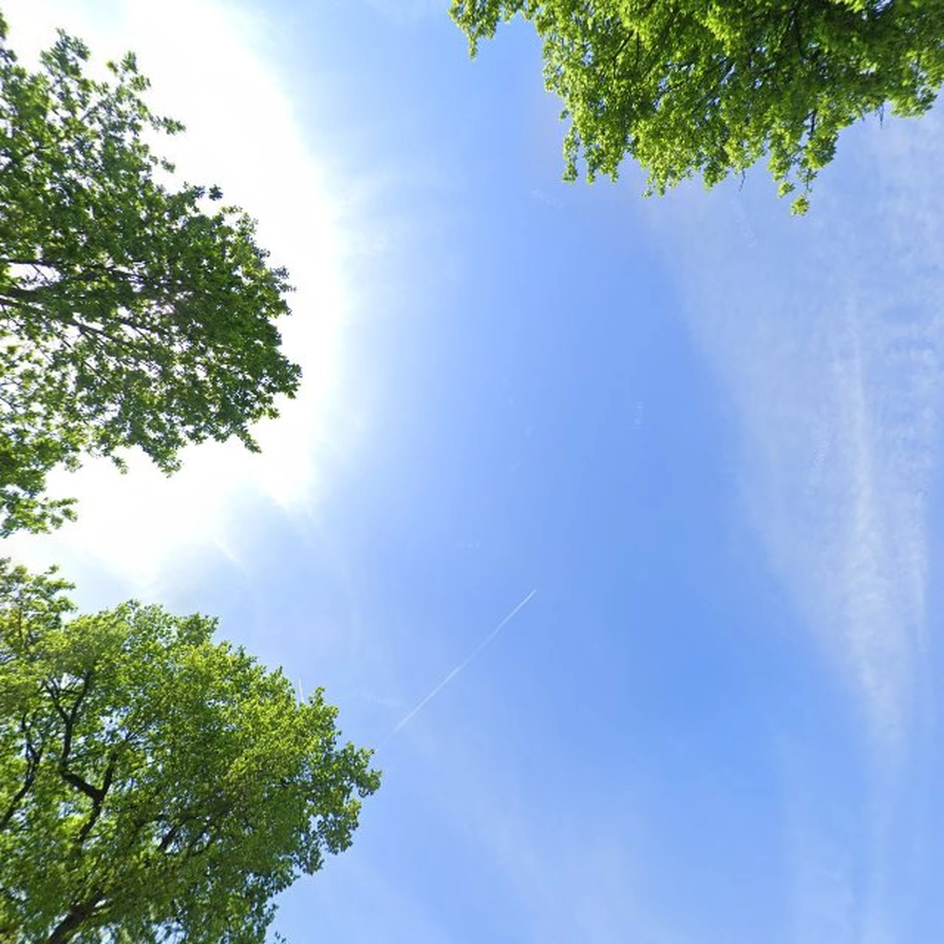 Kringloopwinkel Stichting kringloop Hierden in Hierden