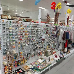 Bezoeker foto van Stichting Kringloop Maasdijk in Maasdijk