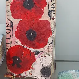 Bezoeker foto van Stichting Kringloop Maasdijk in Maasdijk