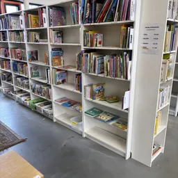Witte boekenkast met verschillende genres boeken, dvd's en media netjes uitgestald op meerdere niveaus