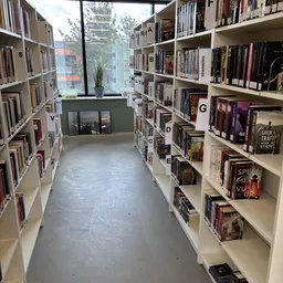 Gang tussen boekenrekken in een tweedehands boekwinkel met alfabetische ordening