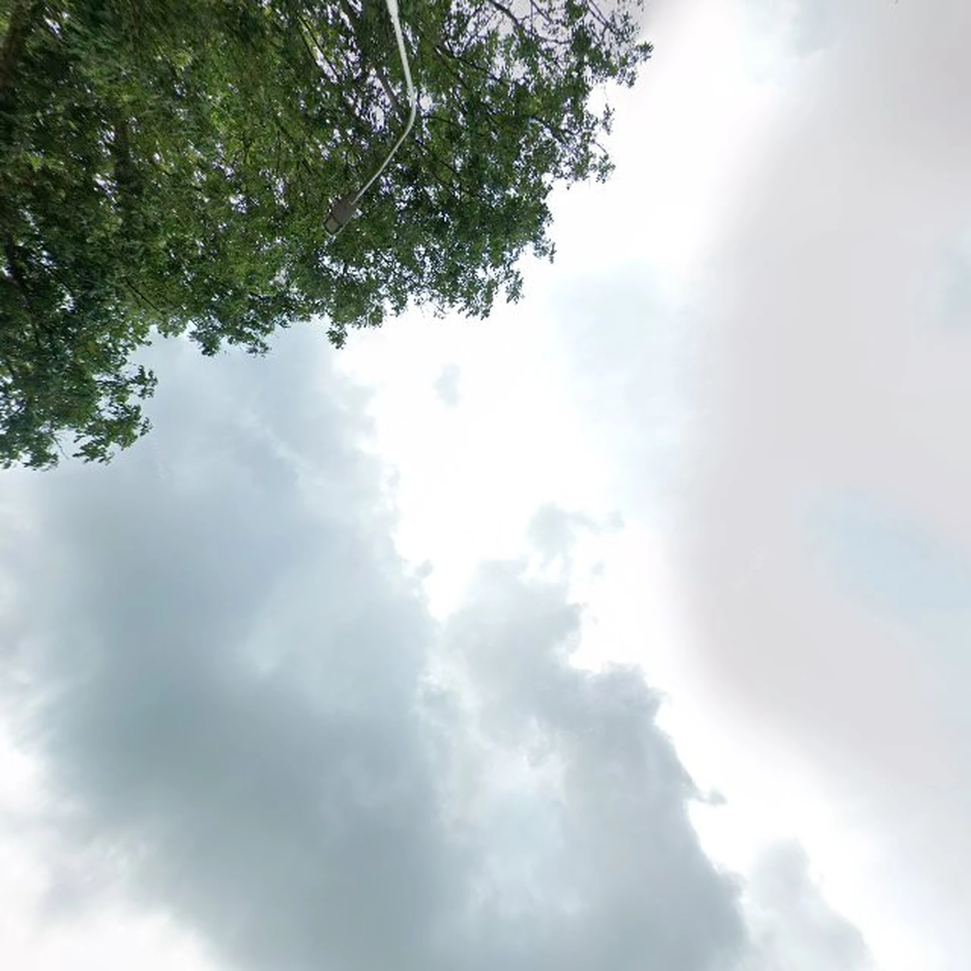 Kringloopwinkel Stichting Kringloopbedrijf Delft in Delft