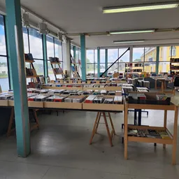 Ruime winkelvloer met tafels vol boeken, groene zuilen, grote ramen en boekenrekken in het achtergrond