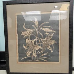 Botanische gravure op donkere achtergrond, voorstellende lelies met bladeren in sepia/crème tinten