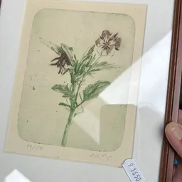 Ingelijste botanische tekening van een bloem met groene steel en bladeren