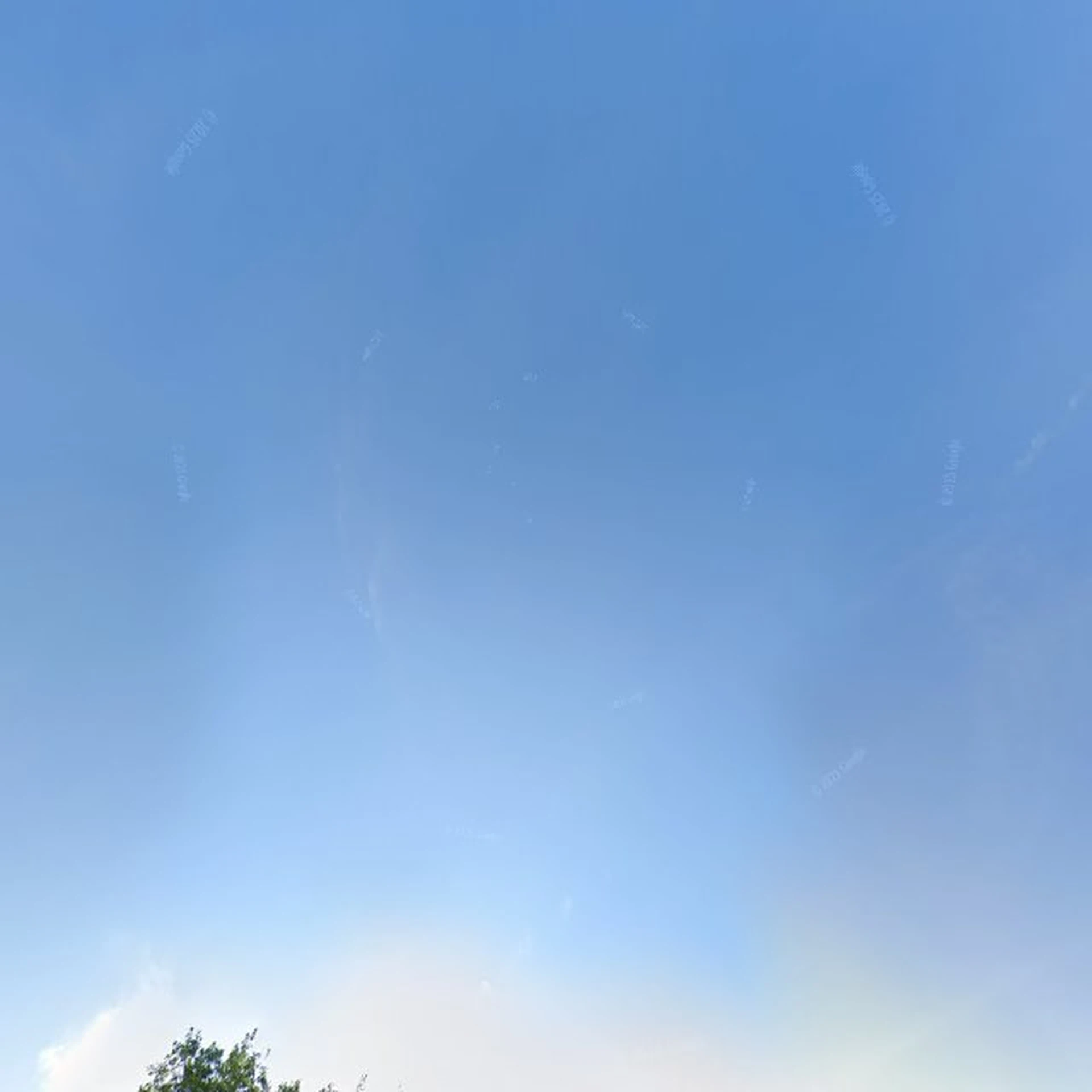 Kringloopwinkel Stichting Kringloopbedrijf Het Warenhuis in Leiden